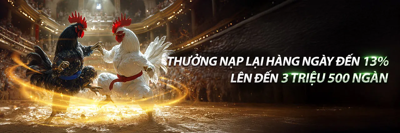 Sân đấu đá gà trực tuyến sôi động tại mm9 đăng nhập